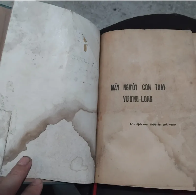 Mấy người con trai Vương Ling của Pearl Puck 970860