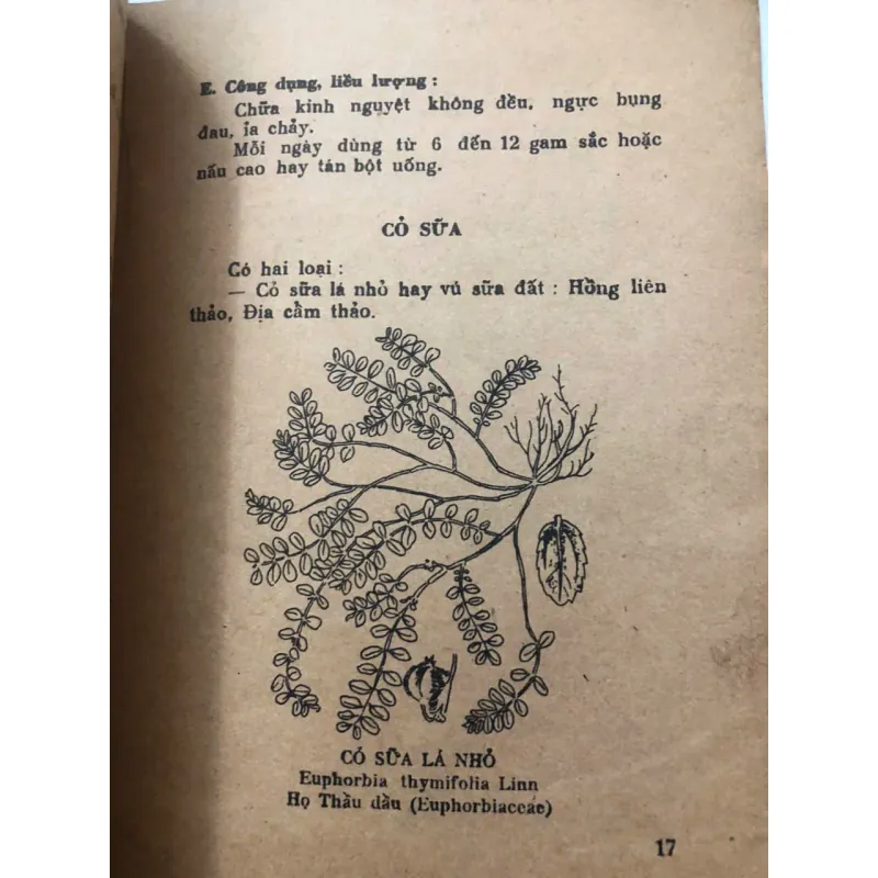Cây thuốc và bài thuốc trị bảy bệnh thông thường – Nhiều tác giả 998411