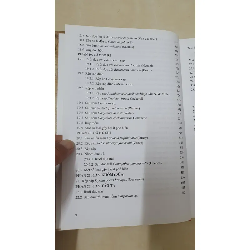 CÔN TRÙNG NHỆN GÂY HẠI CÂY ĂN TRÁI....  799628