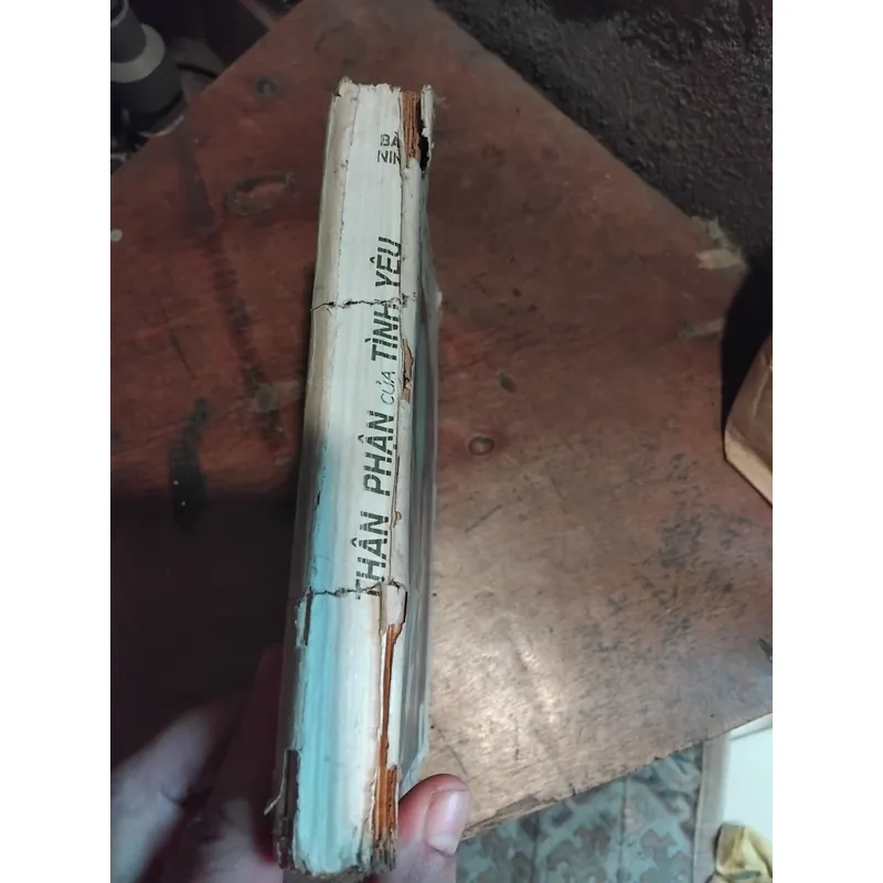 Tiểu thuyết Thân phận của tình yêu ( Nỗi buồn chiến tranh ) của Bảo Ninh  733825