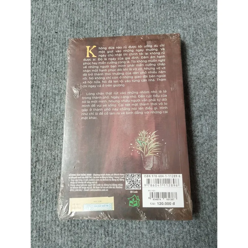 MÙI TRẦN - ĐỖ PHẤN 729296