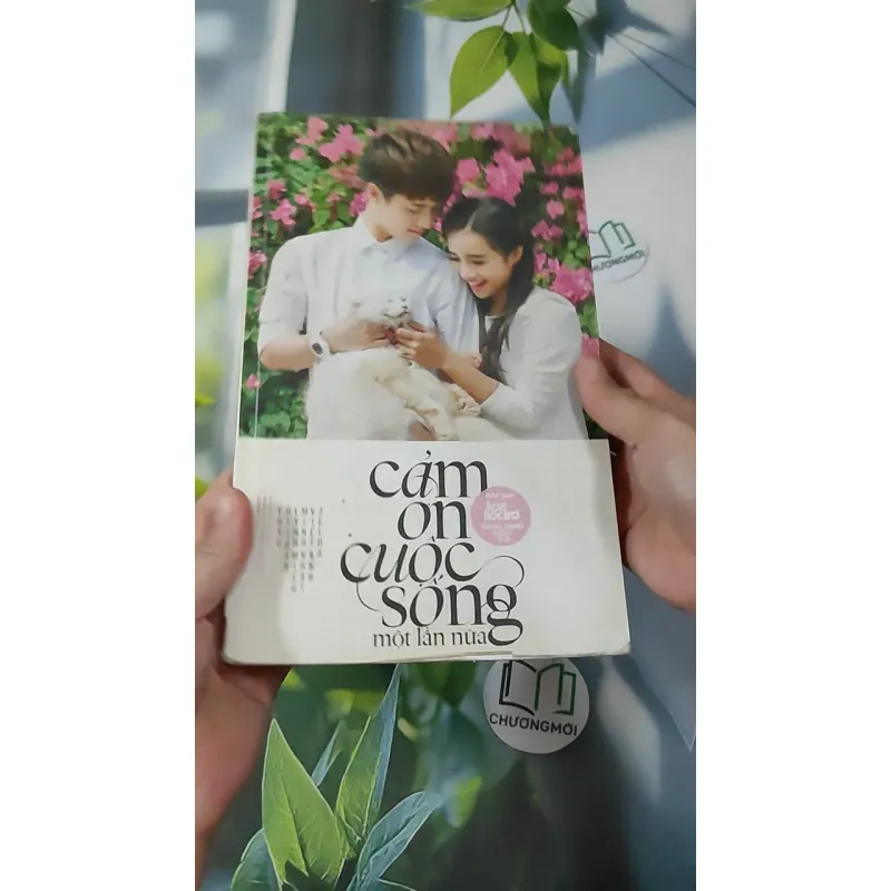 Cảm Ơn Cuộc Sống Một Lần Nữa 1018888