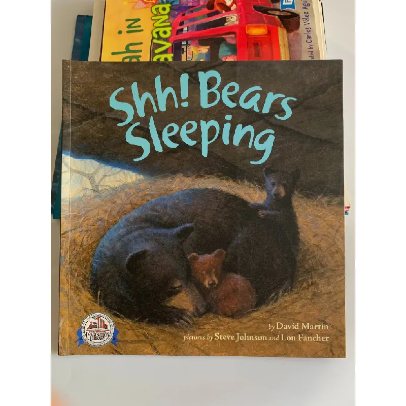 Shh! Bears Sleeping – David Martin 561133