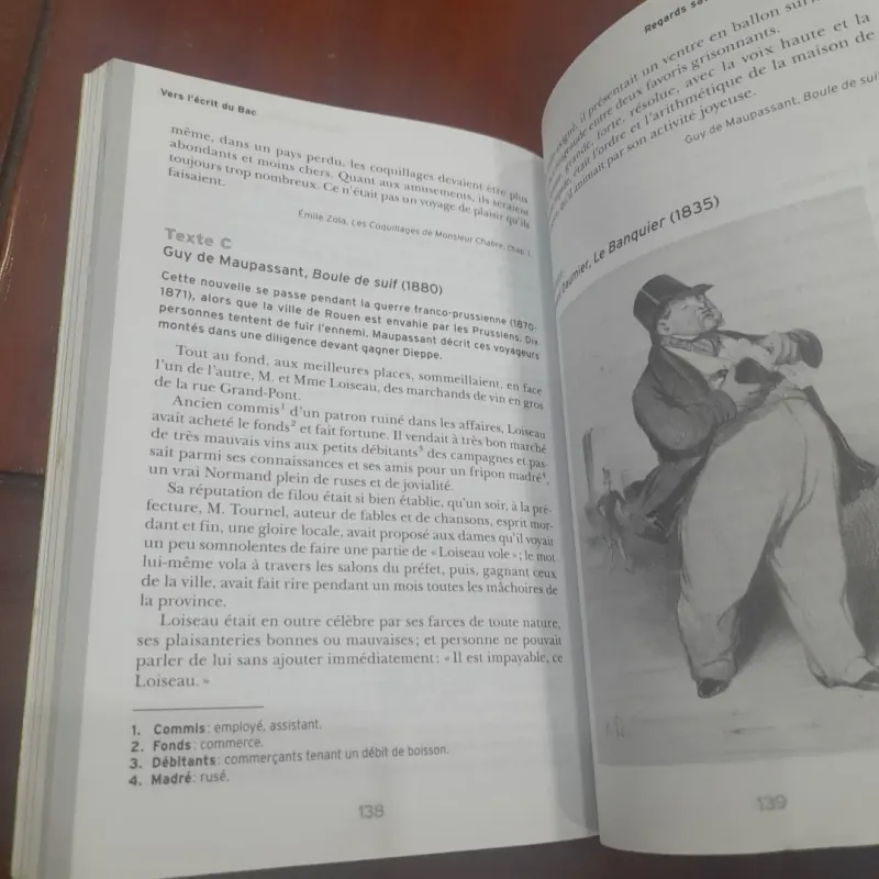 Nouvelles naturalistes Émile Zila 762060