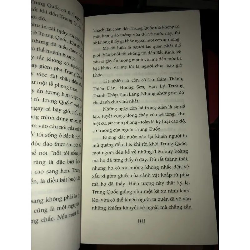 Huỷ hoại vì yêu - Amélie Nothomb  993823