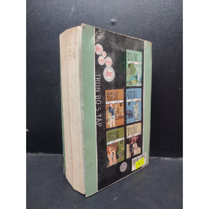 Sống Sót Vỉa Hè 1 Võ Phi Hùng mới 80% (ố nhẹ) 2006 HCM1604 văn học Oreka-Blogmeo 134387