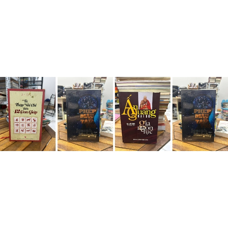 Bộ sách Cha giàu Cha nghèo 994159