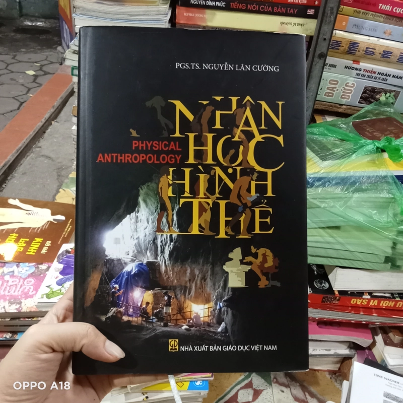 Nhân Học Hình Thể- PGS. TS. Nguyễn Lân Cường 521639