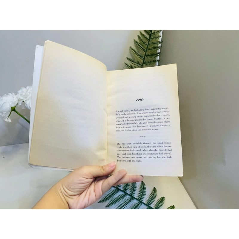 [Sách 2hand từ US] Like new 90% - Gossamer của Lois Lowry 478010