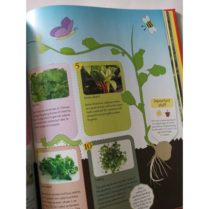 Ready, Steady, Grow! Quick and Easy Gardening Projects 1002061