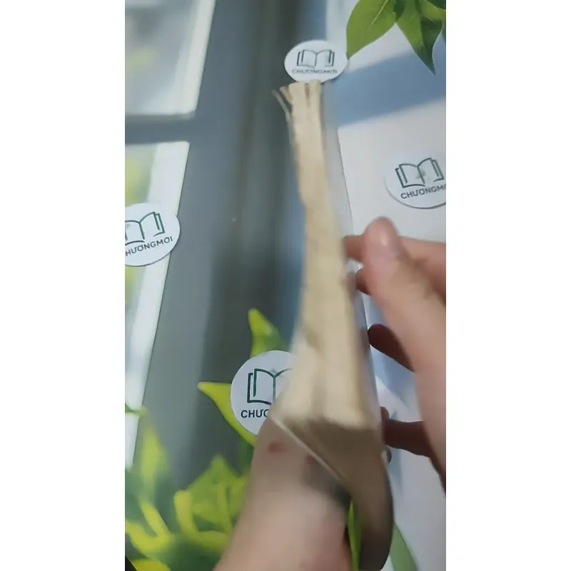 Những Điều Cần Biết Cho Các Cặp Vợ Chồng Trẻ - Nuôi Trẻ Từ Sơ Sinh Đến 12 Tuổi - BS. Lê T 727350