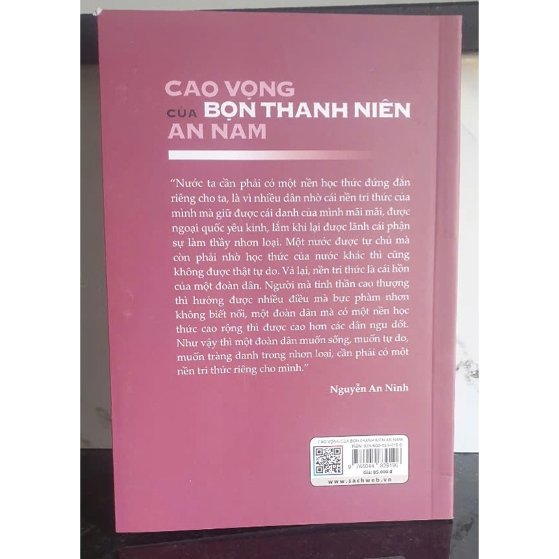 Cao Vọng Của Bọn Thanh Niên An Nam 379158