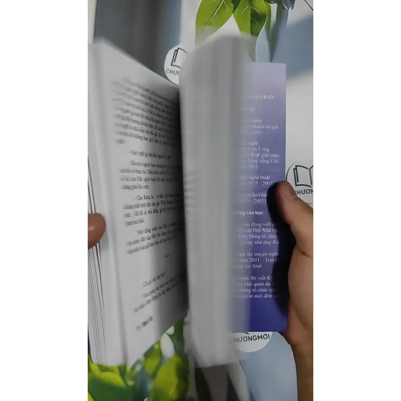 Bông Lục Bình - Mạnh Hà 798483