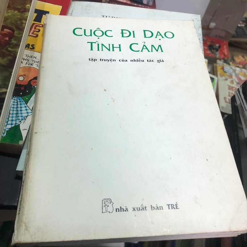 Cuộc đi dạo tình cảm - NXB Trẻ 317363