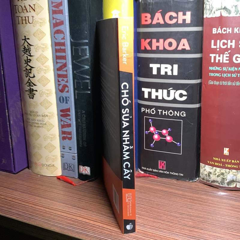 Chó Sủa Nhầm Cây - Tại Sao Những Gì Ta Biết Về Thành Công Có Khi Lại Sai 185934