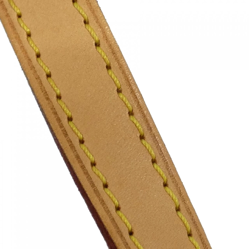 Túi xách vai Louis Vuitton Monogram Montorgueil PM M95565 610933