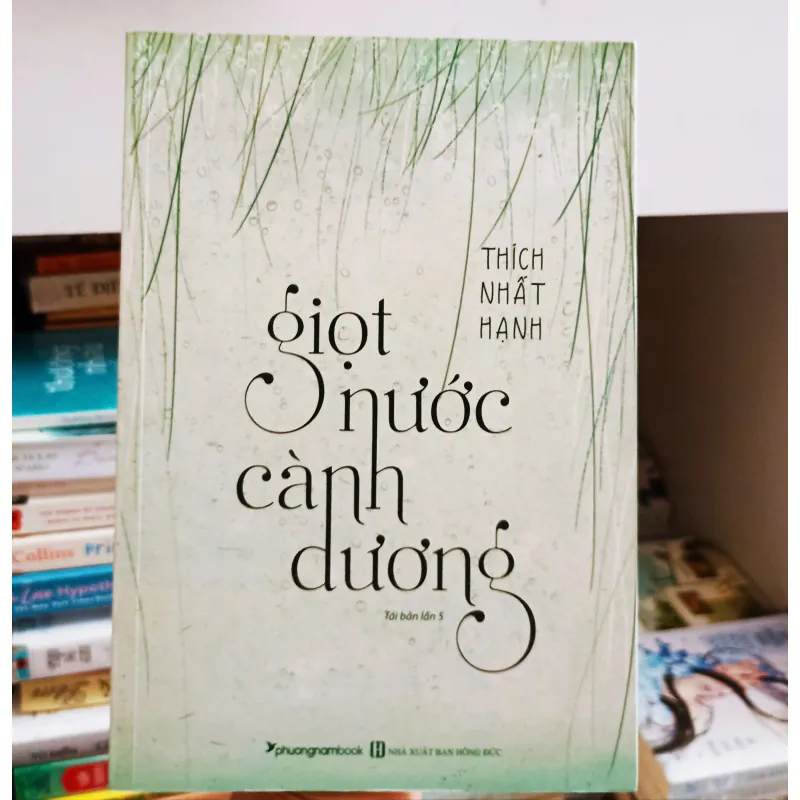 Thích Nhất Hạnh - Giọt nước cành dương🌻 1004254