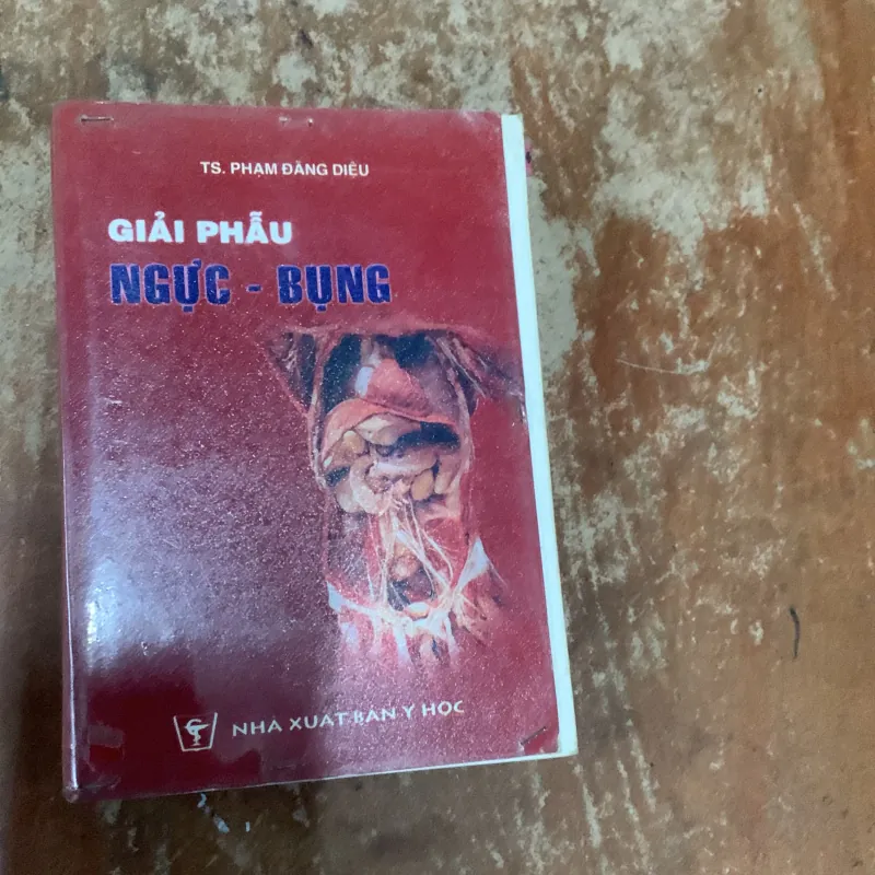 COMBO GIẢI PHẪU ĐẦU MẶT CỔ- GIẢI PHẪU NGỰC - BỤNG & GIẢI PHẪU CHI TRÊN- CHI DƯỚI 777340