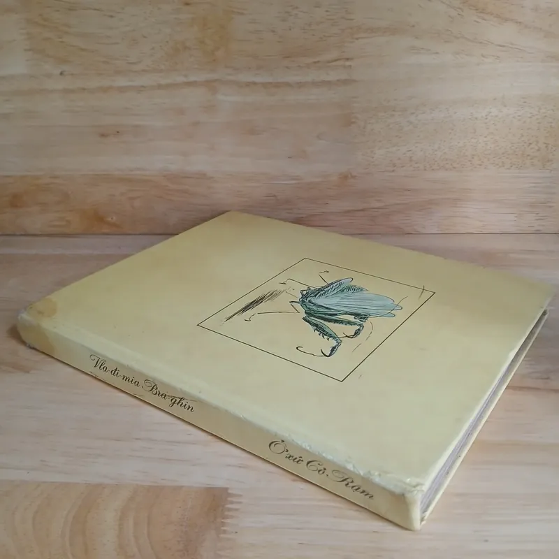 Ở Xứ Cỏ Rậm (Nxb Cầu Vồng, 1988) - Vla-đi-mia Bra-ghin 675487