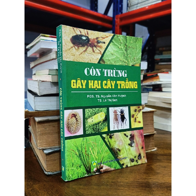 Côn trùng gây hại cây trồng - PGS.TS.Nguyễn Văn Huỳnh & TS.Lê Thị Sen 476631