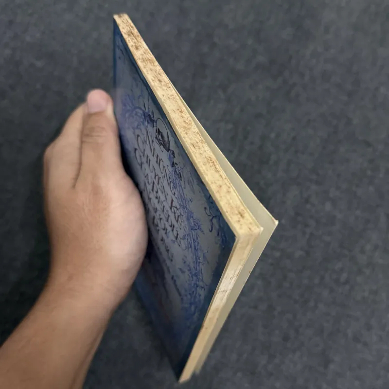 Những chuyện kể của Beedle người hát rong - J.K. Rowling 996742