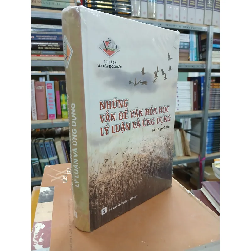 NHỮNG VẤN ĐỀ VĂN HÓA HỌC LÝ LUẬN VÀ ỨNG DỤNG - TRẦN NGỌC THÊM 719751