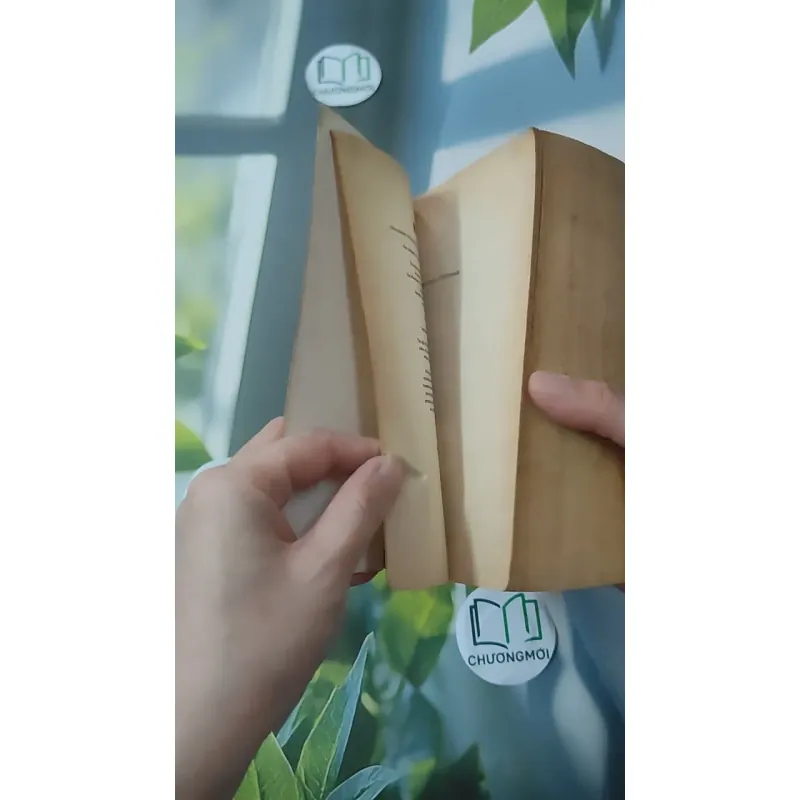 Balance of Power - Richard North Patterson 1027507