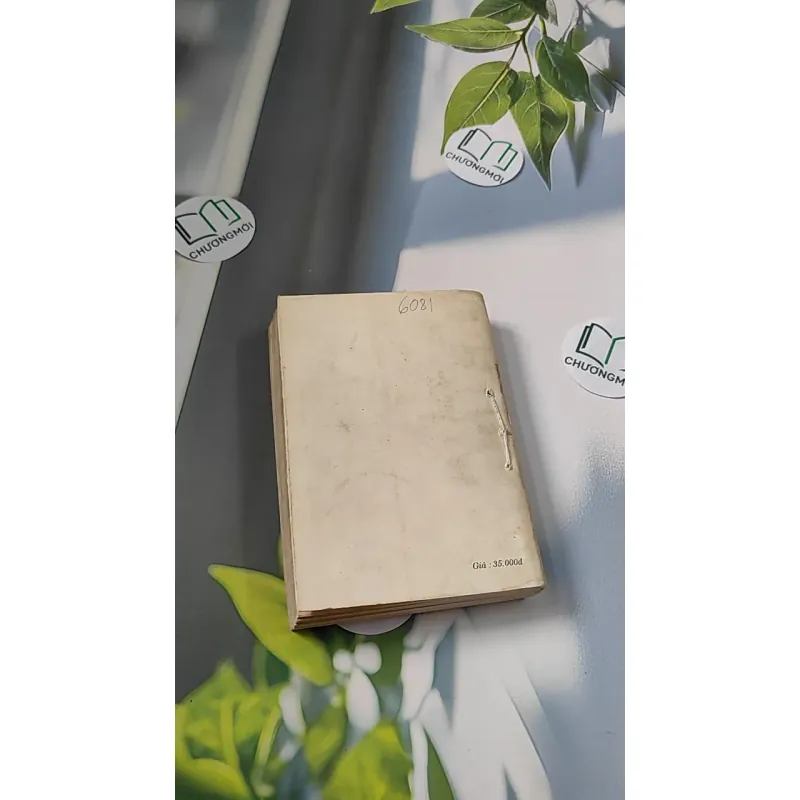 [XƯA] Đỉnh Đồi (1994) - Irwin Shaw 776066