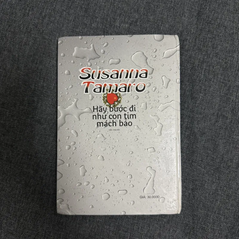 Hãy bước đi như con tim mách bảo (Bìa cứng) - Susanna Tamaro 907821