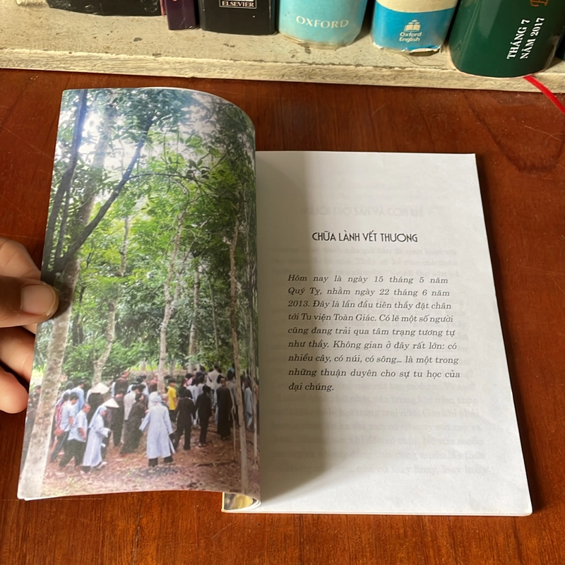 II Sách Chữa Lành: Chữa Lành Tâm Hồn - Thầy Giác Viên - 2013 543850