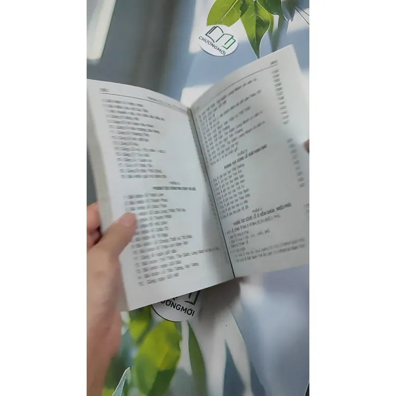 Phong Tục Cúng Tế - Bài Khấn - Lê Mai 776190