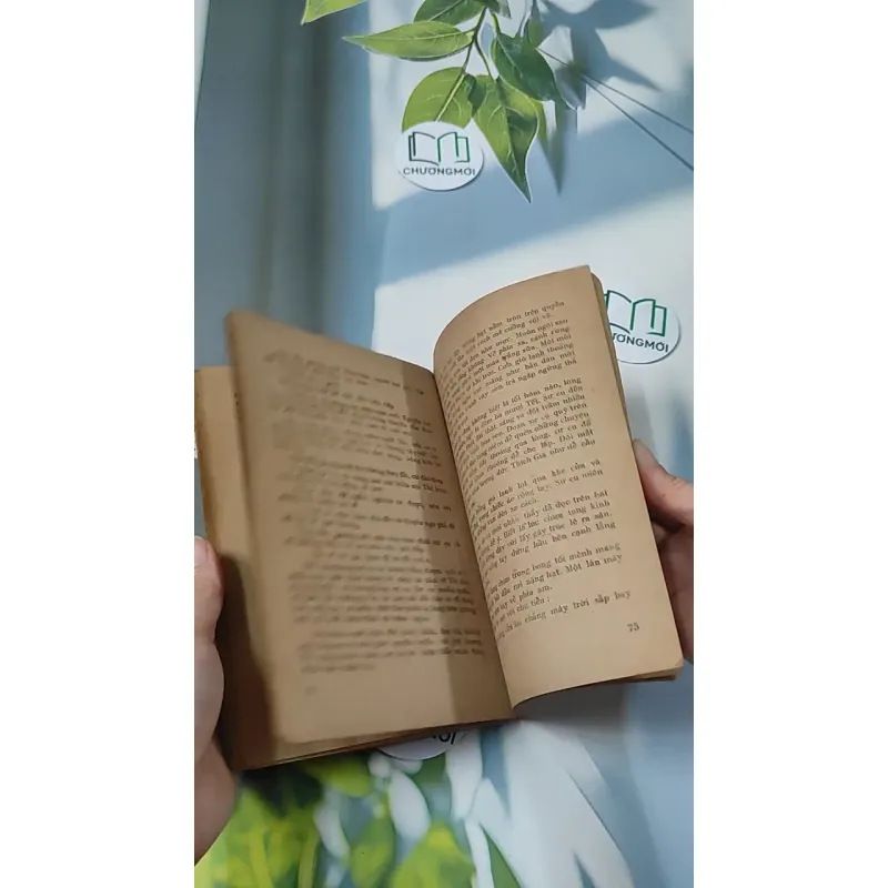 [XƯA] Quê Mẹ (1989) - Thanh Tịnh 775985