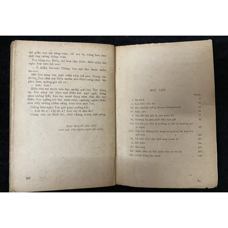 Con Trâu- Giải thưởng Phạm Văn Đồng 1004221