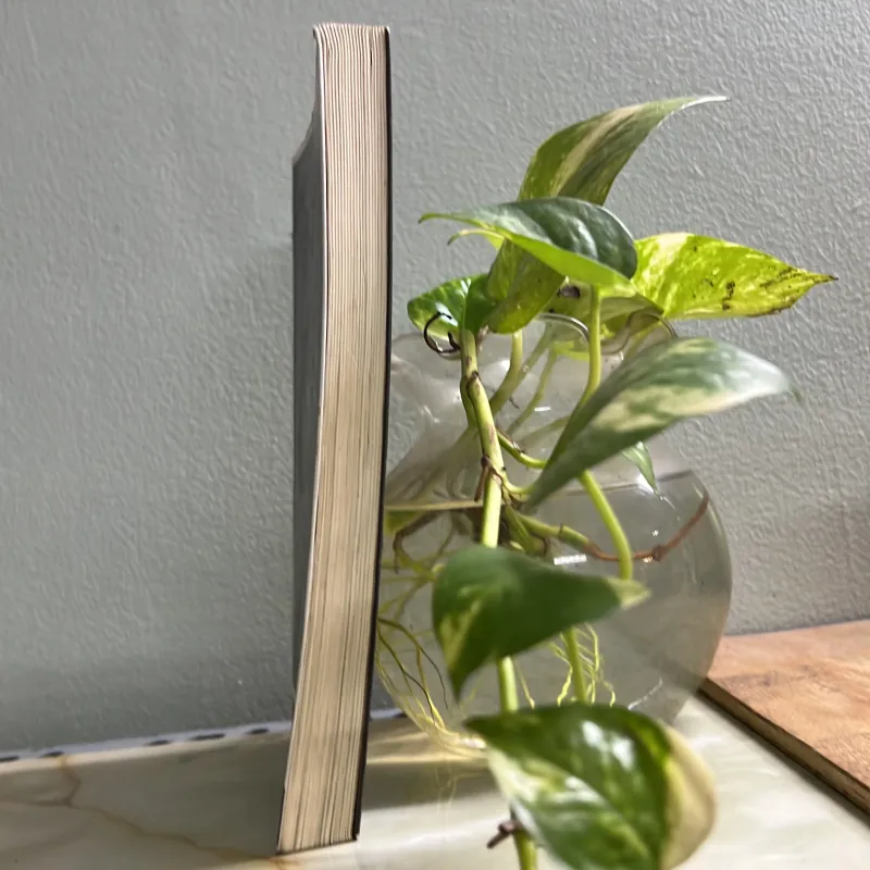 Nợ nhau lời tạm biệt 750762