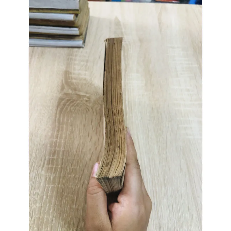 CƠ SỞ CẢNH QUAN HỌC VÀ PHÂN VÙNG ĐỊA LÝ TỰ NHIÊN  960249