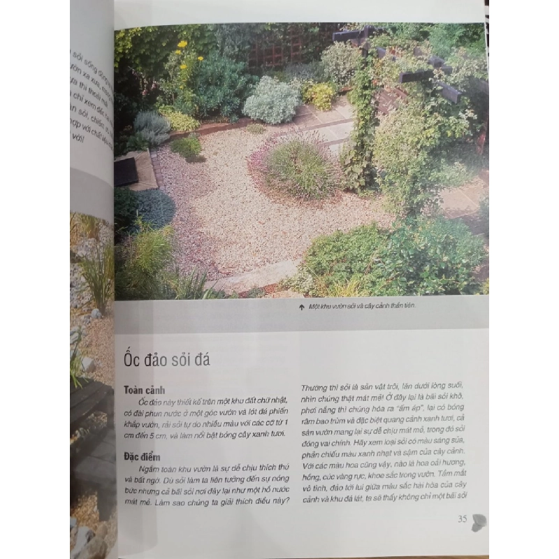 Nghệ thuật sân vườn hiện đại - Phạm Cao Hoàn biên soạn 536855