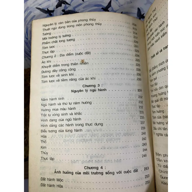 Trang Trí Nột Ngoại Thất Theo Thẩm Mỹ Và Phong Thủy Phương Đông 699371