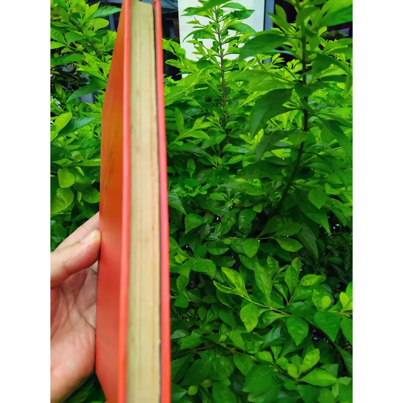 Ong mật phục vụ con người  của Ioiris  999669