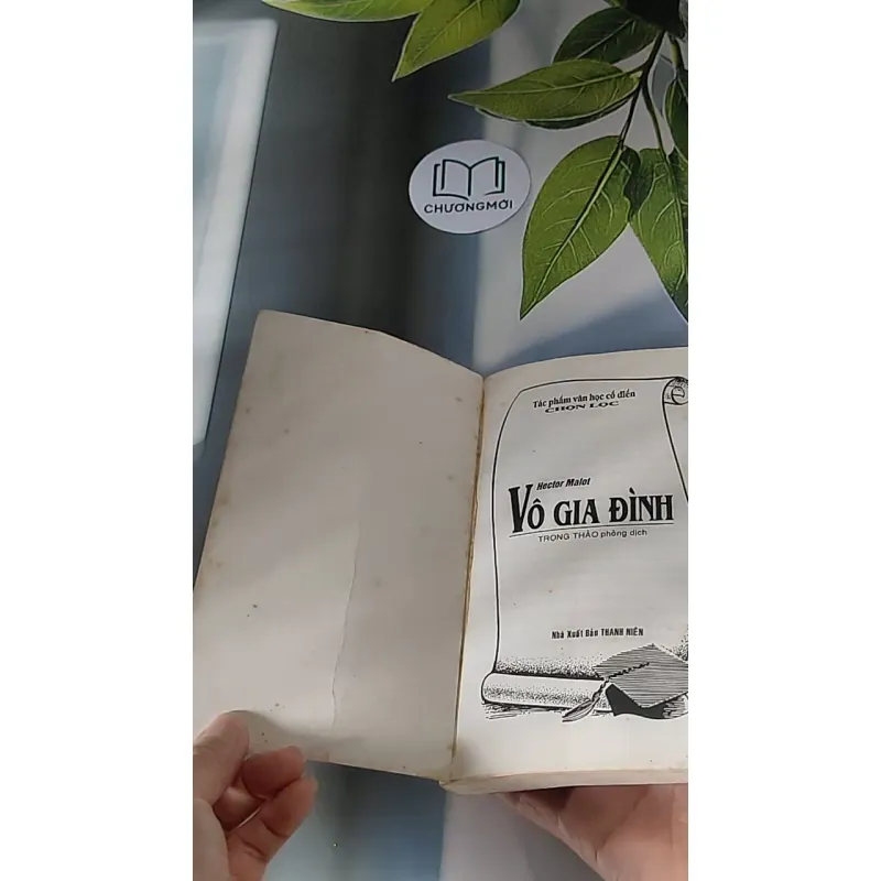 Vô Gia Đình (2001) - Hector Malot 607676