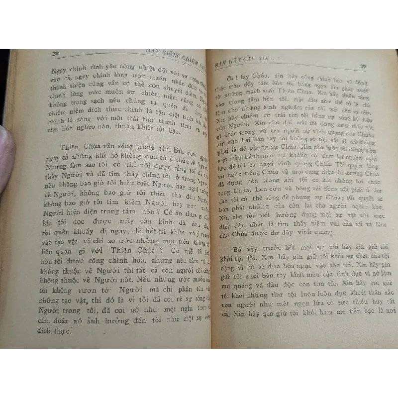 Hạt giống chiêm niệm - Thomas Merton ( Thanh Bằng dịch ) 713616