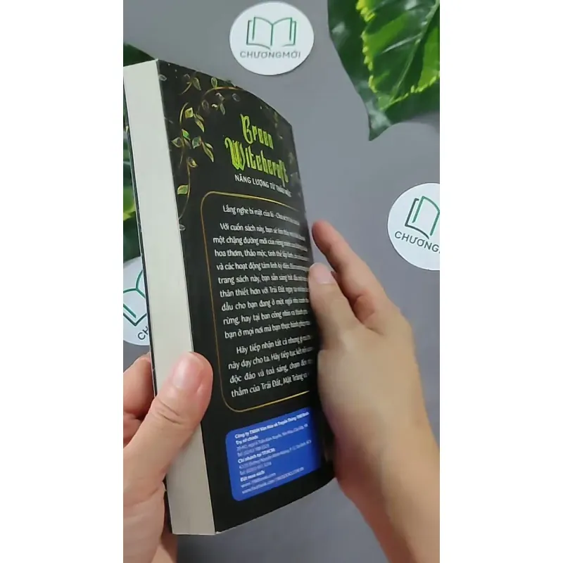 [MIỄN PHÍ BỌC SÁCH] Năng Lượng Từ Thảo Mộc - Paige Vanderbeck 604646