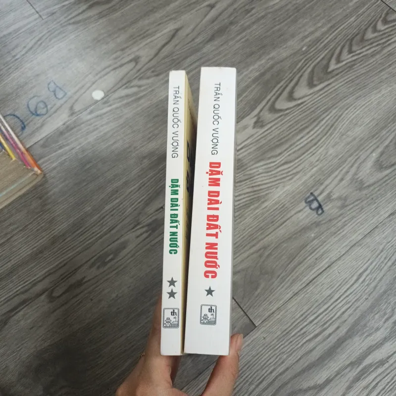 Dặm Dài Đất Nước - Trần Quốc Vượng  1020063