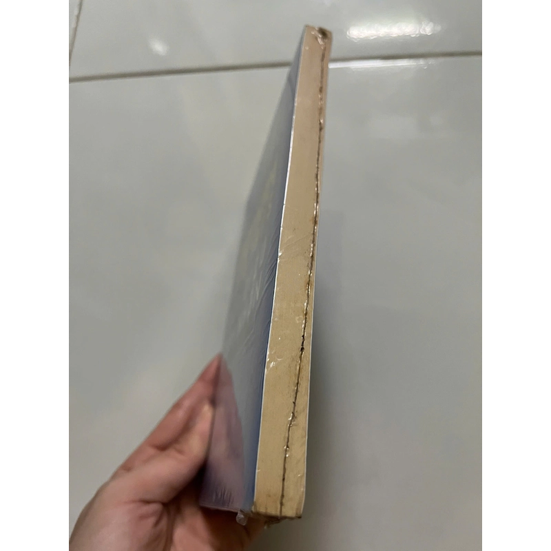 VIỆT NAM SAU 1975 ĐÔI ĐIỀU CẢM NHẬN 447484