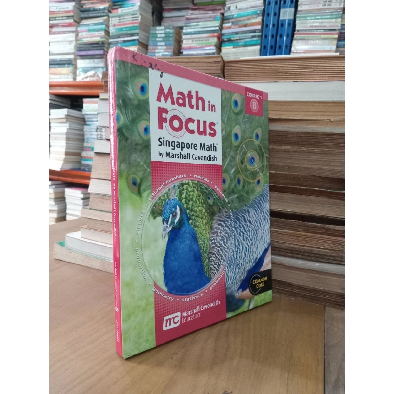 Math in Focus - Singapore Math by Marshall Cavendish 798568