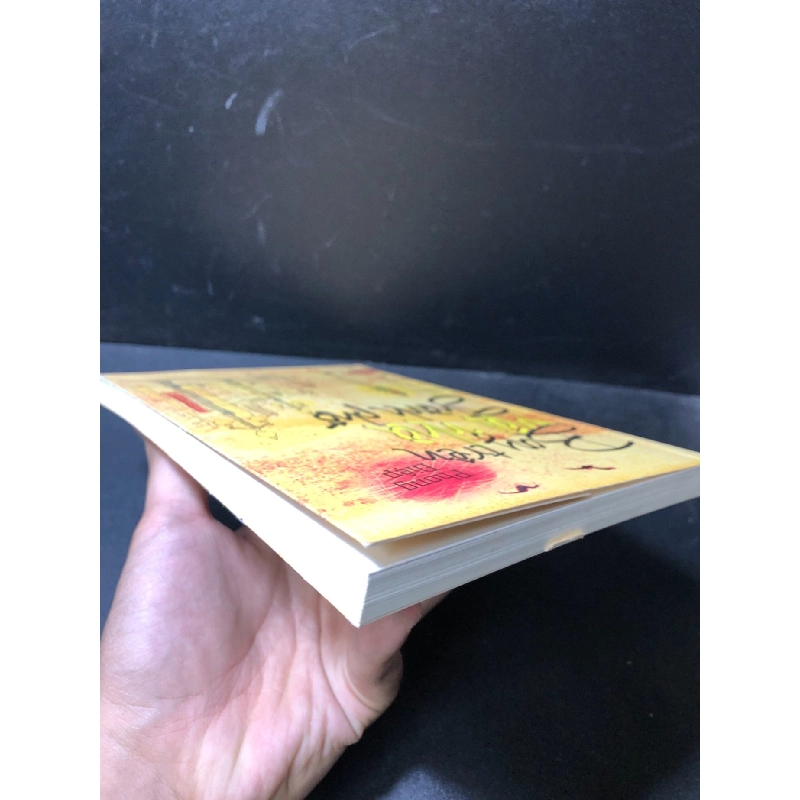 Bay trên mái nhà thành phố 2012 Phong Điệp mới 90% SBMQ7-0612 912966