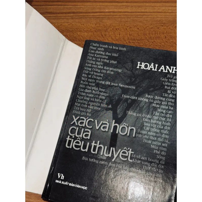 Xác và hồn của tiểu thuyết - Hoài Anh 1013560