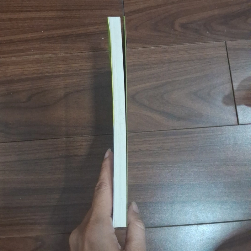 Bà đại sứ  506974