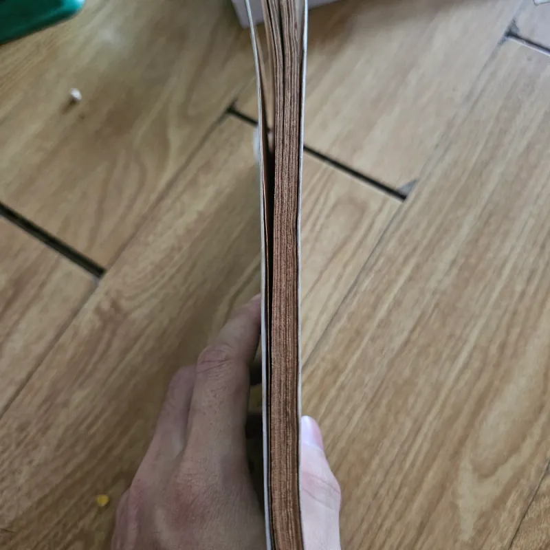 Giúp con em học tiếng Việt 1 (bìa bị rách vài chỗ, ố vàng nặng)
 757842