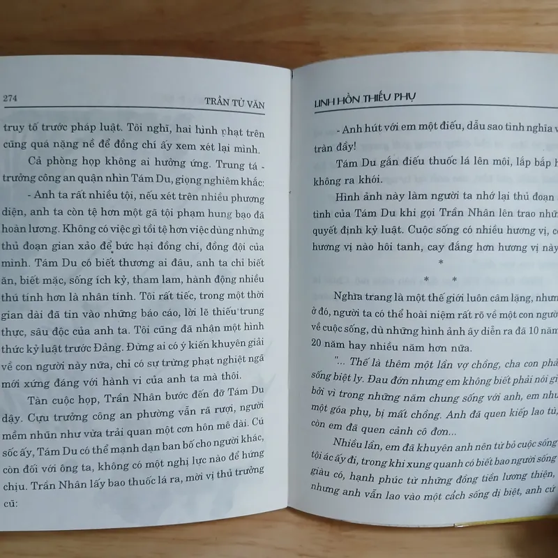 Tiểu Thuyết Linh Hồn Thiếu Phụ - Trần Tử Văn 603831