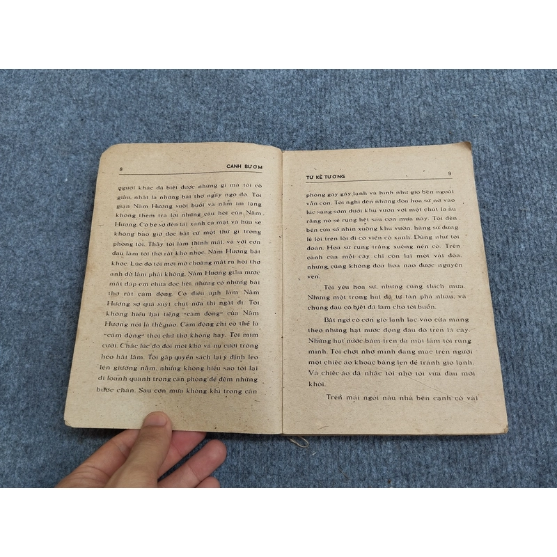 CÁNH BƯỚM - TỪ KẾ TƯỜNG 479766